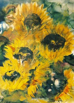 Sommer 1 - Landschaft