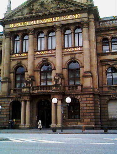 Museum Alexander Koenig